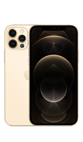 12 pro 256gb
